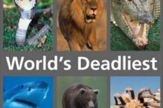 National Geographic: Самые опасные животные